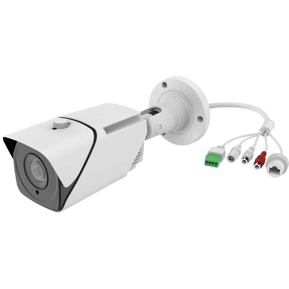 License plate capture camera view